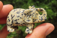 Polished Small Dalmatian Jasper Elephant Carving - sold per item - From Mexico