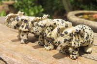 Polished Small Dalmatian Jasper Elephant Carving - sold per item - From Mexico