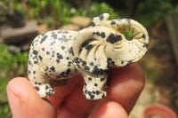 Polished Small Dalmatian Jasper Elephant Carving - sold per item - From Mexico