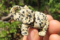 Polished Small Dalmatian Jasper Elephant Carving - sold per item - From Mexico