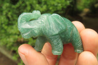 Polished Small Gemmy Aventurine Elephant Carving - sold per item - From Zimbabwe