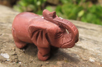 Polished Small Pyrophyllite Elephant Carving - sold per item - From Namibia