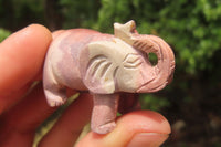 Polished Small Pyrophyllite Elephant Carving - sold per item - From Namibia