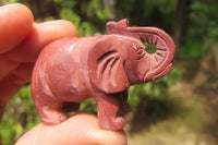 Polished Small Pyrophyllite Elephant Carving - sold per item - From Namibia