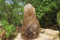 Polished Smokey Quartz Sceptre Crystal x 1 From Madagascar