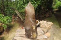 Polished Smokey Quartz Sceptre Crystal x 1 From Madagascar