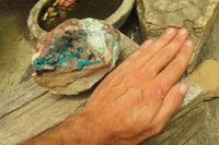 Natural Emerald Dioptase Matrix Specimen x 1 From Namibia