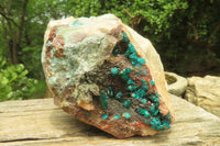 Natural Emerald Dioptase Matrix Specimen x 1 From Namibia