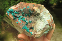 Natural Emerald Dioptase Matrix Specimen x 1 From Namibia