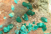 Natural Emerald Dioptase Matrix Specimen x 1 From Namibia