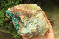 Natural Emerald Dioptase Matrix Specimen x 1 From Namibia