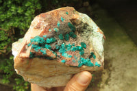 Natural Emerald Dioptase Matrix Specimen x 1 From Namibia