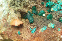 Natural Emerald Dioptase Matrix Specimen x 1 From Namibia