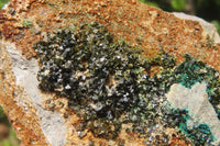 Natural Libethenite Crystals On Dolomite Matrix Specimens x 4 From Shituru, Congo