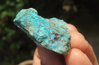 Natural Blue Shattuckite Specimens x "Lot" From Kaokoveld, Namibia