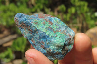 Natural Blue Shattuckite Specimens x "Lot" From Kaokoveld, Namibia