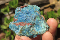 Natural Blue Shattuckite Specimens x "Lot" From Kaokoveld, Namibia