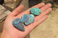 Natural Blue Shattuckite Specimens x "Lot" From Kaokoveld, Namibia