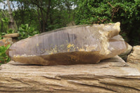 Natural Double Terminated Smokey Quartz Crystal x 1 From Zomba, Malawi