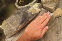 Natural Double Terminated Smokey Quartz Crystal x 1 From Zomba, Malawi