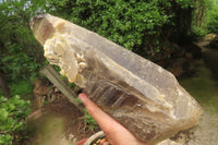 Natural Double Terminated Smokey Quartz Crystal x 1 From Zomba, Malawi