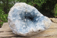 Natural Celestite Geode Specimen x 1 From Sakoany, Madagascar