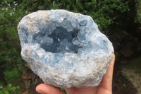 Natural Celestite Geode Specimen x 1 From Sakoany, Madagascar