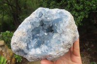 Natural Celestite Geode Specimen x 1 From Sakoany, Madagascar