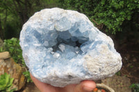 Natural Celestite Geode Specimen x 1 From Sakoany, Madagascar