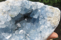 Natural Celestite Geode Specimen x 1 From Sakoany, Madagascar