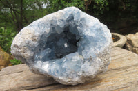 Natural Celestite Geode Specimen x 1 From Sakoany, Madagascar