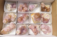 Natural Amethyst Spirit Quartz Clusters x 12 From Boekenhouthoek, South Africa