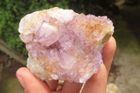 Natural Amethyst Spirit Quartz Clusters x 12 From Boekenhouthoek, South Africa