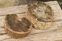 Polished Petrified Wood Branch Pieces x 2 From Gokwe, Zimbabwe