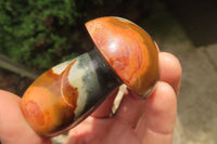 Polished Polychrome Jasper Mushrooms x 6 From Madagascar