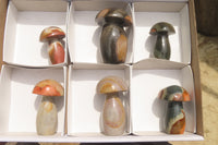 Polished Polychrome Jasper Mushrooms x 6 From Madagascar