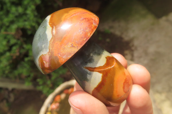 Polished Polychrome Jasper Mushrooms x 6 From Madagascar