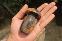 Polished Polychrome Jasper Mushrooms x 6 From Madagascar