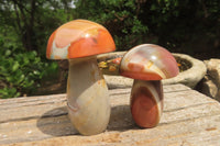 Polished Polychrome Jasper Mushrooms x 6 From Madagascar