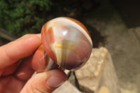 Polished Polychrome Jasper Mushrooms x 6 From Madagascar