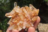 Natural Clear Quartz Clusters x 24 From Madagascar