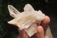 Natural Clear Quartz Clusters x 24 From Madagascar