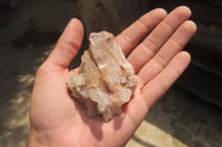 Natural Clear Quartz Clusters x 24 From Madagascar