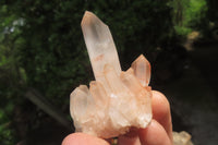 Natural Clear Quartz Clusters x 24 From Madagascar