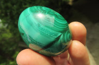 Polished Flower Banded Malachite Gemstone Eggs x 6 From Congo