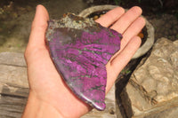 Polished On One Side Metallic Purpurite x 3 From Namibia