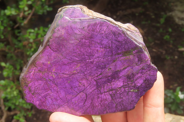 Polished On One Side Metallic Purpurite x 3 From Namibia