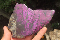 Polished On One Side Metallic Purpurite x 3 From Namibia