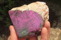 Polished On One Side Metallic Purpurite x 3 From Namibia