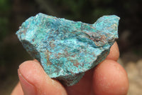 Natural Shattuckite with Chrysocolla & Malachite Cobbed Specimens x 2.7 Kg Lot from Namibia